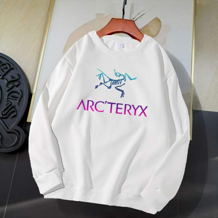 Picture of Arcteryx Sweatshirt _SKUArcteryxM-4XL11Ln1829498